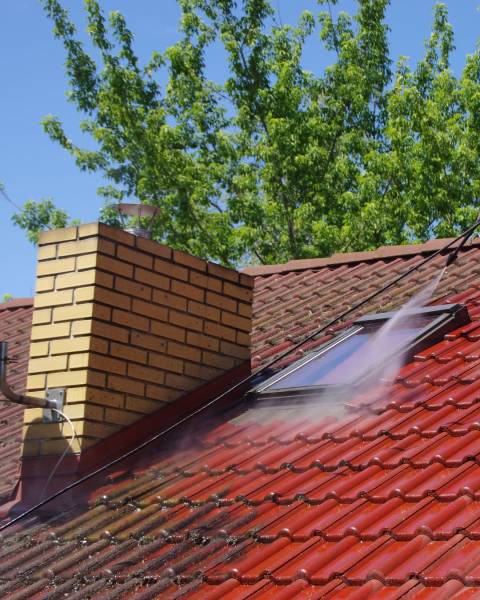 Démoussage toiture Pornic et Nantes