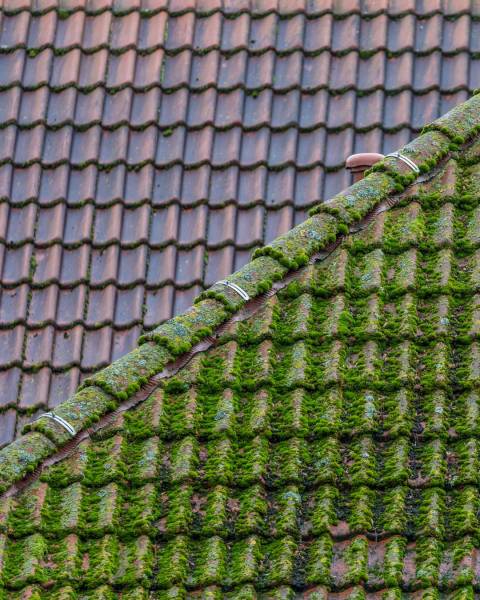 Démoussage maison à Nantes